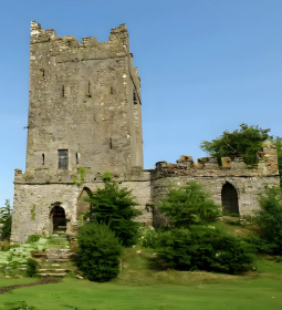 Clonony Castle - an outstanding building of the Tudor era