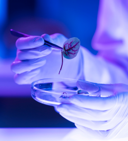 The system of distribution of scientific grants will change in the United States