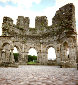 Mellifont Abbey