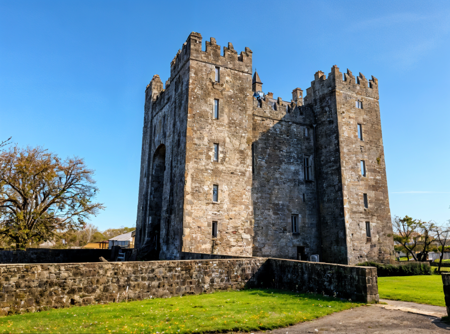 Bunratty Castle: Viking trading floor and modern medieval feasts