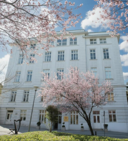 Best schools in Vienna for foreign students